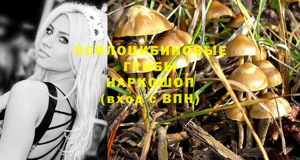 МДПВ Михайловск