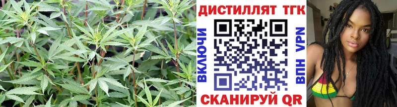 ТГК концентрат  Любань 